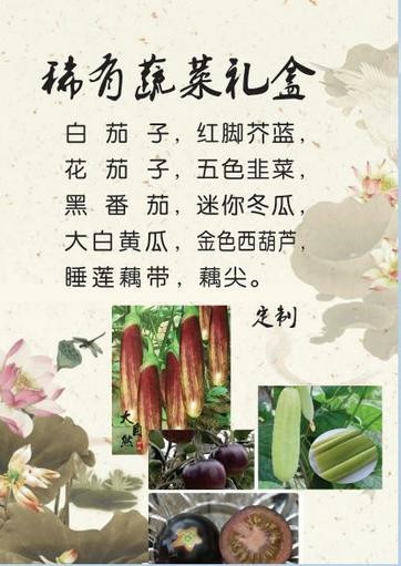 端午节礼品方案