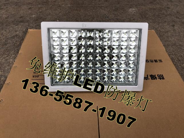 100W免维护LED防爆灯BLD-100W/AC220V,IP65