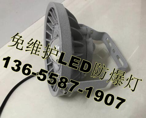 LED防爆射灯BLD-30WLED光源壁挂式安装附件