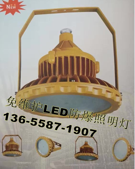 免维护LED防爆灯 BLED126-20x 电压220V/20W吸顶式LED油站灯