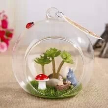 微景观玻璃小花盆吹制个性玻璃鱼缸创意玻璃花盆