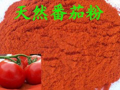 番茄粉生产厂家