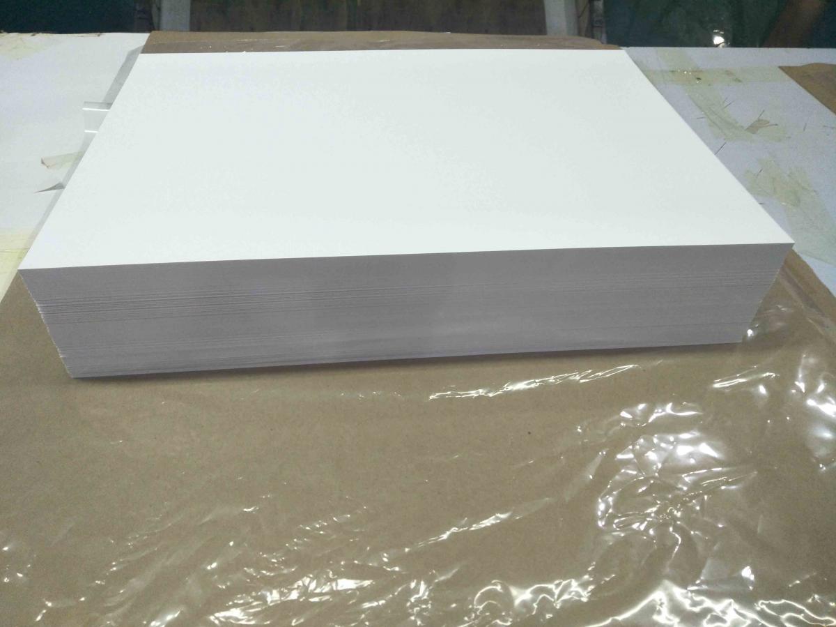 广东深圳合成纸厂家供应优质遮光度PP合成纸