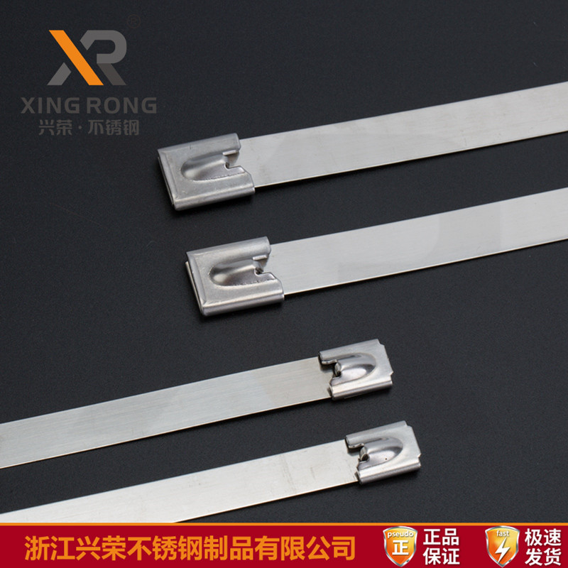 供应19mm超宽自锁不锈钢扎带 特种钢扎带 兴荣品牌