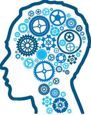 大脑认知能力分析与训练系统