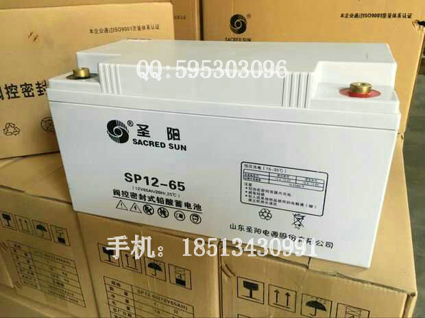辽宁ups蓄电池12v100ah免维护铅酸电池价格