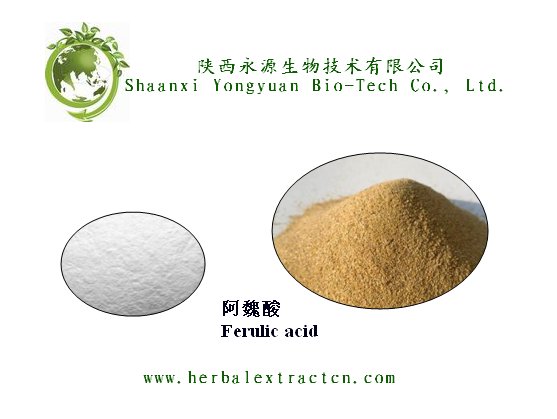 阿魏酸, Ferulic acid 98% HPLC