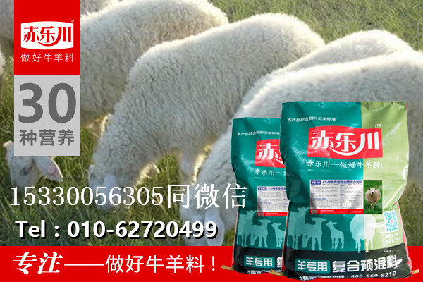 繁殖母羊精料的饲喂量母羊专用预混料