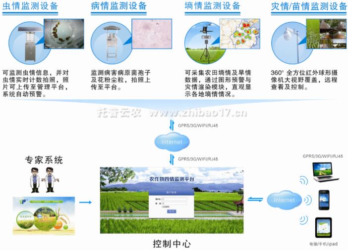 农林“四情”监测系统方便农业大田管理