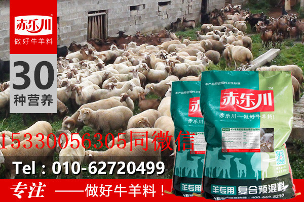 羊尿结石治疗肉羊育肥预混料