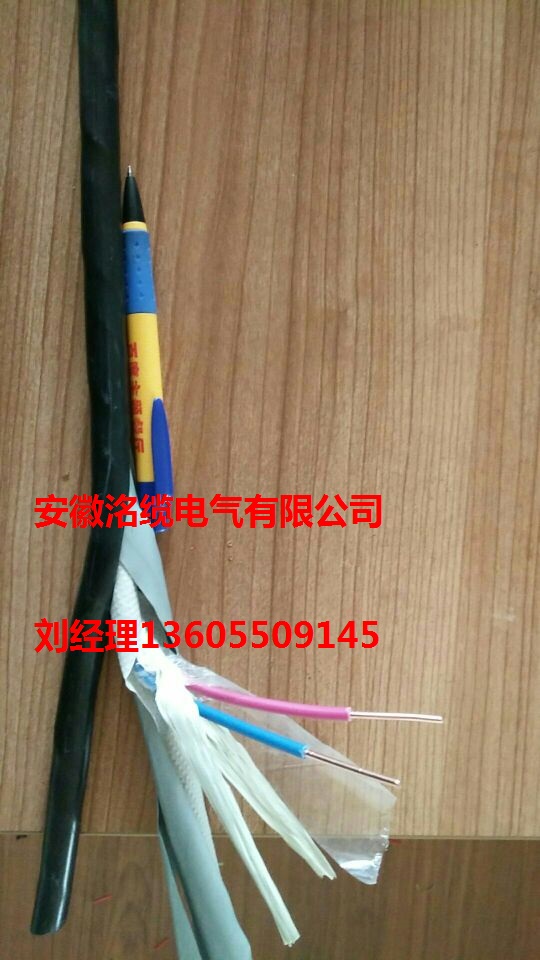 (洺缆) 电缆规格KX-GA-VVP焦作 补偿导线