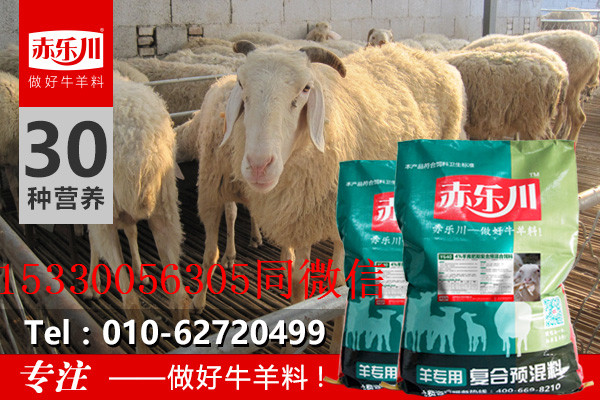 羊育肥期增重快的羊预混饲料