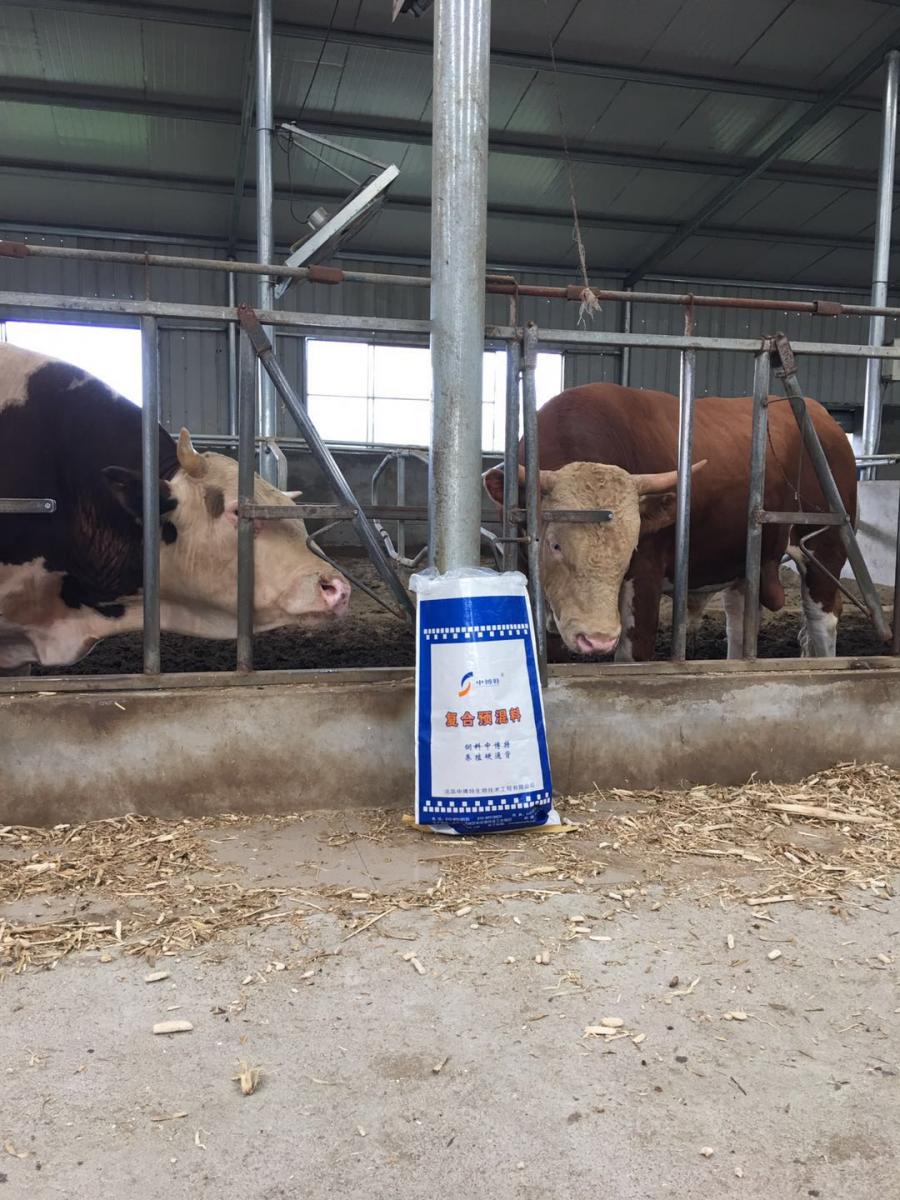 添加莫能菌素的育肥后期肉牛预混料
