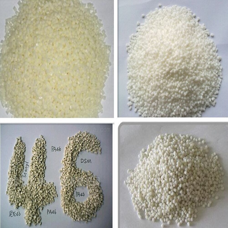 PA46荷兰DSM代理商