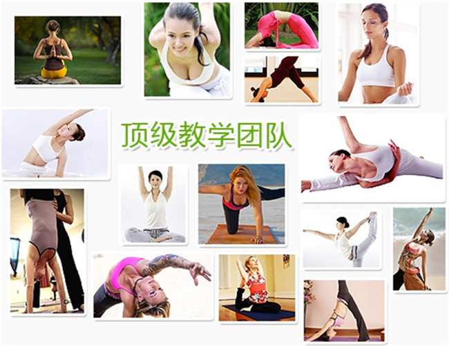 广州南沙瑜伽培训权威机构【欧姆瑜伽】