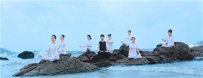 广州海珠区0基础瑜伽班资格证【OMYOGA】