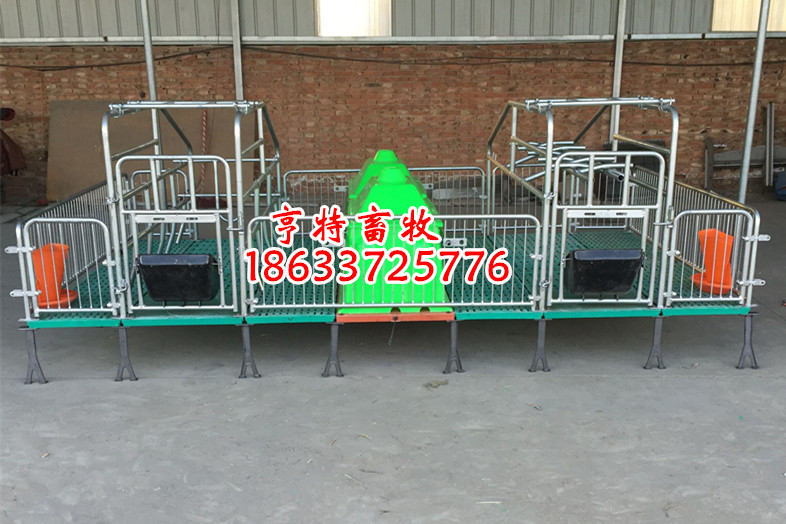 贵州黔西南母猪连体产床定位栏养猪设备价格