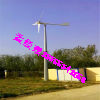 供应海岛供电5000w小型风力发电站 并网风力发电机