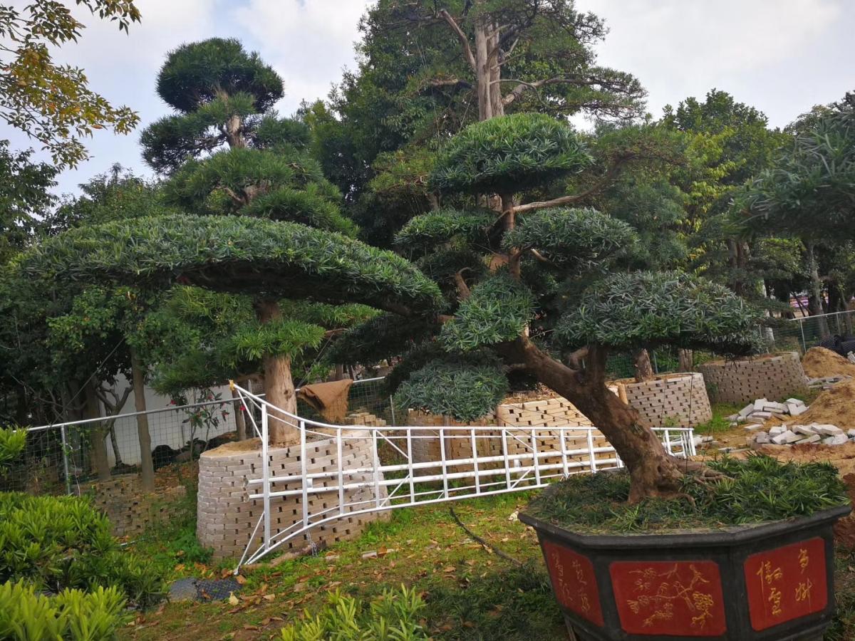 园林景观石施工，专业承接设计园林景观石头