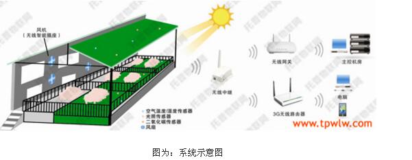 畜禽养殖监控系统如何实现精细化养殖管理