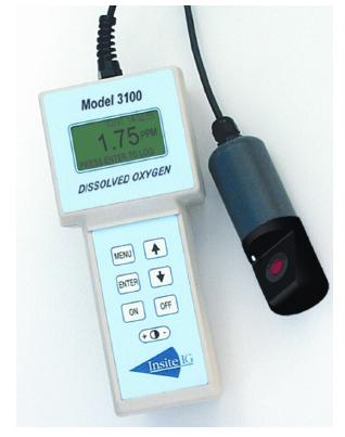 美国Model 3100便携式溶解氧分析仪