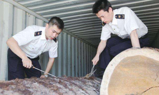 加拿大/红橡进口/南沙港清关/资料手续