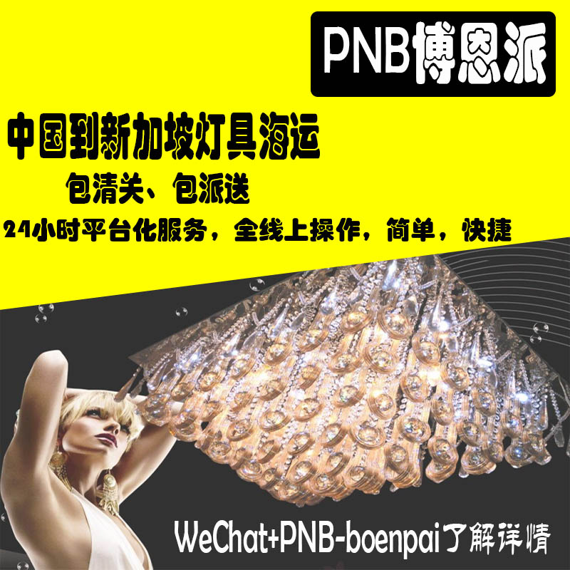 PNB博恩派-中国海运照明电筒到新加坡一条龙服务