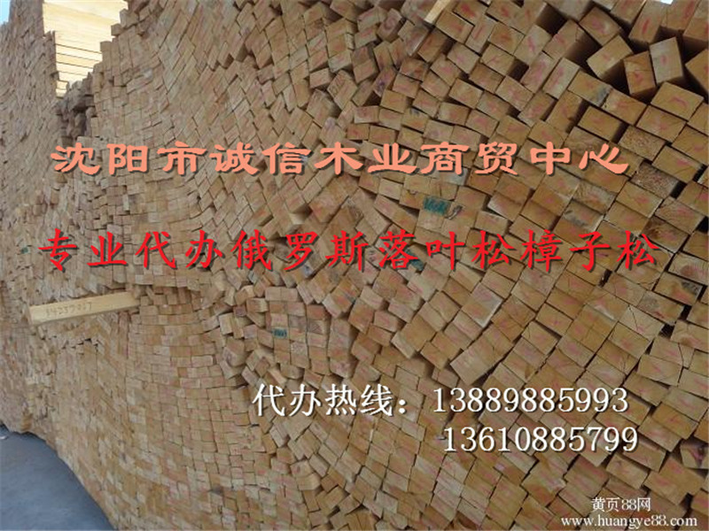 朝阳木材价格|木材|木材价格