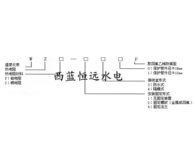 水导鉑热电阻传感器WZP-200/231/269