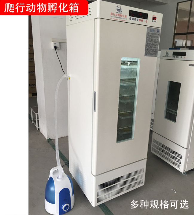 批发珠江牌 FHX-325精密控温爬行动物孵化箱 325升黄缘盒龟孵化箱