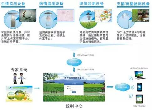 植保信息化在农业病虫害中的应用