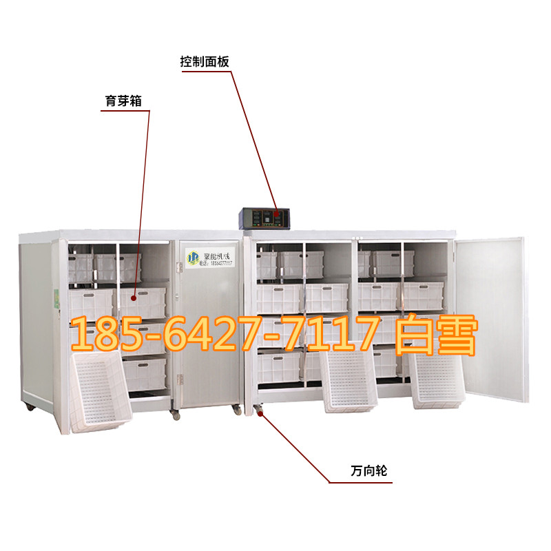 聚能多功能豆芽机 重庆大型商用豆芽机 日产800斤豆芽机