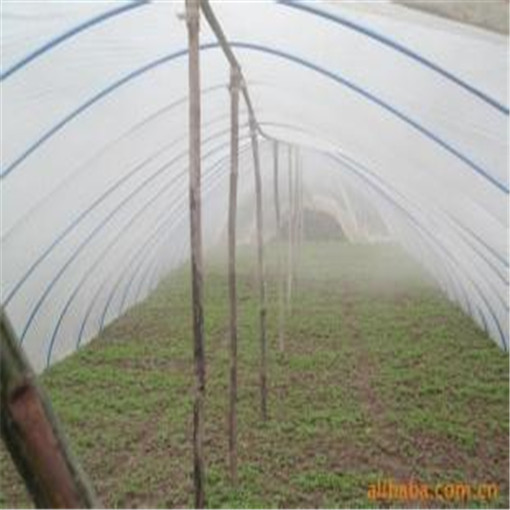 大棚地膜厂家|大棚地膜价格|大棚地膜供货商