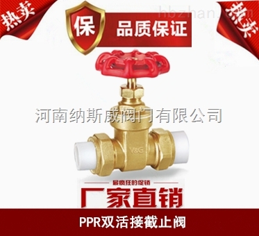 郑州纳斯威PPR双活接截止阀厂家现货