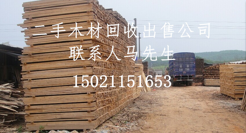 浙江省温州二手木材回收出售：鹿城区、龙湾区、瓯海区、洞头区方木回收出售、永嘉县、平阳县模板出售回收收