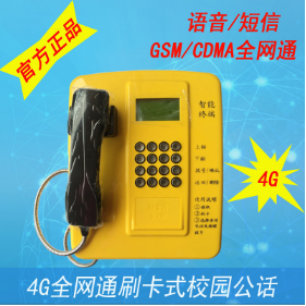 供应  PUTAL   PTW519 4G全网通刷卡电话机  刷卡电话机