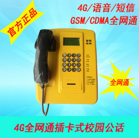 供应PUTAL  PTW513全网通固定无线电话机 4G全网通插卡机