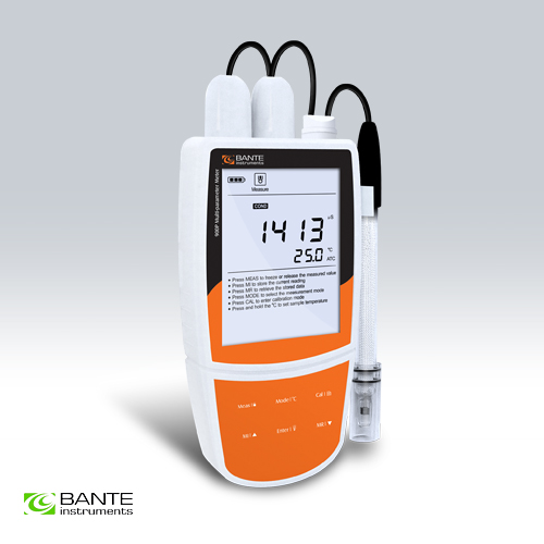 Bante904P便携式电导率/溶解氧仪