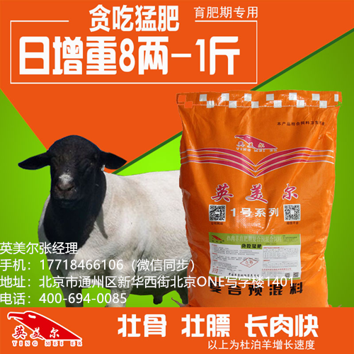 圈养羊饲料—圈养羊饲料预混料—圈养羊饲料添加剂