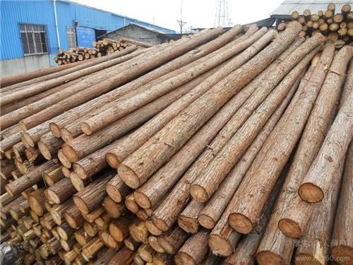 上海松木桩杉木桩 打桩木销售批发  园林绿化支撑木杆出售批发南汇区：惠南、康桥、周浦、航头、新场、宣