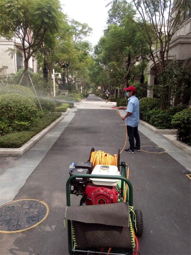 深圳市白蚁防治要多少钱