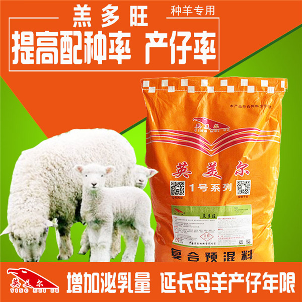 怀孕母羊的饲料，提高繁殖能力，优质的怀孕母羊饲料