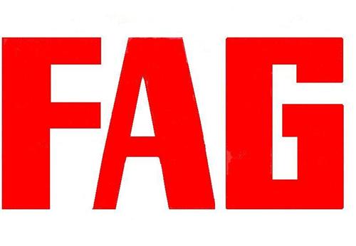 FAG轴承-NSK轴承-SKF轴承-INA轴承-16