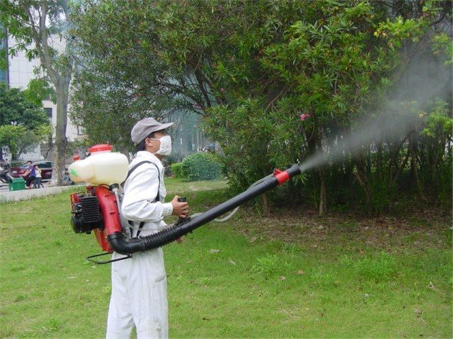 罗湖家庭灭苍蝇蚊子公司