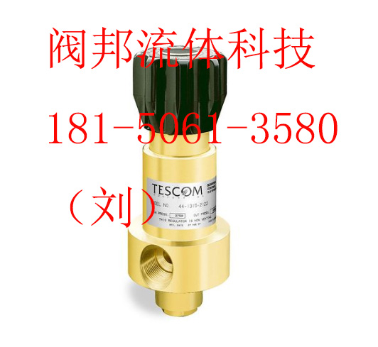 TESCOM 44-3400系列双级调节气体