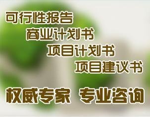 组织编写可行性研究报告的公司 天津宝来9年编写资质