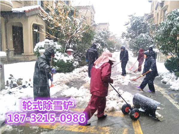 WX2012轮式推雪铲《手把高度上下可调》学校安全扫雪工具