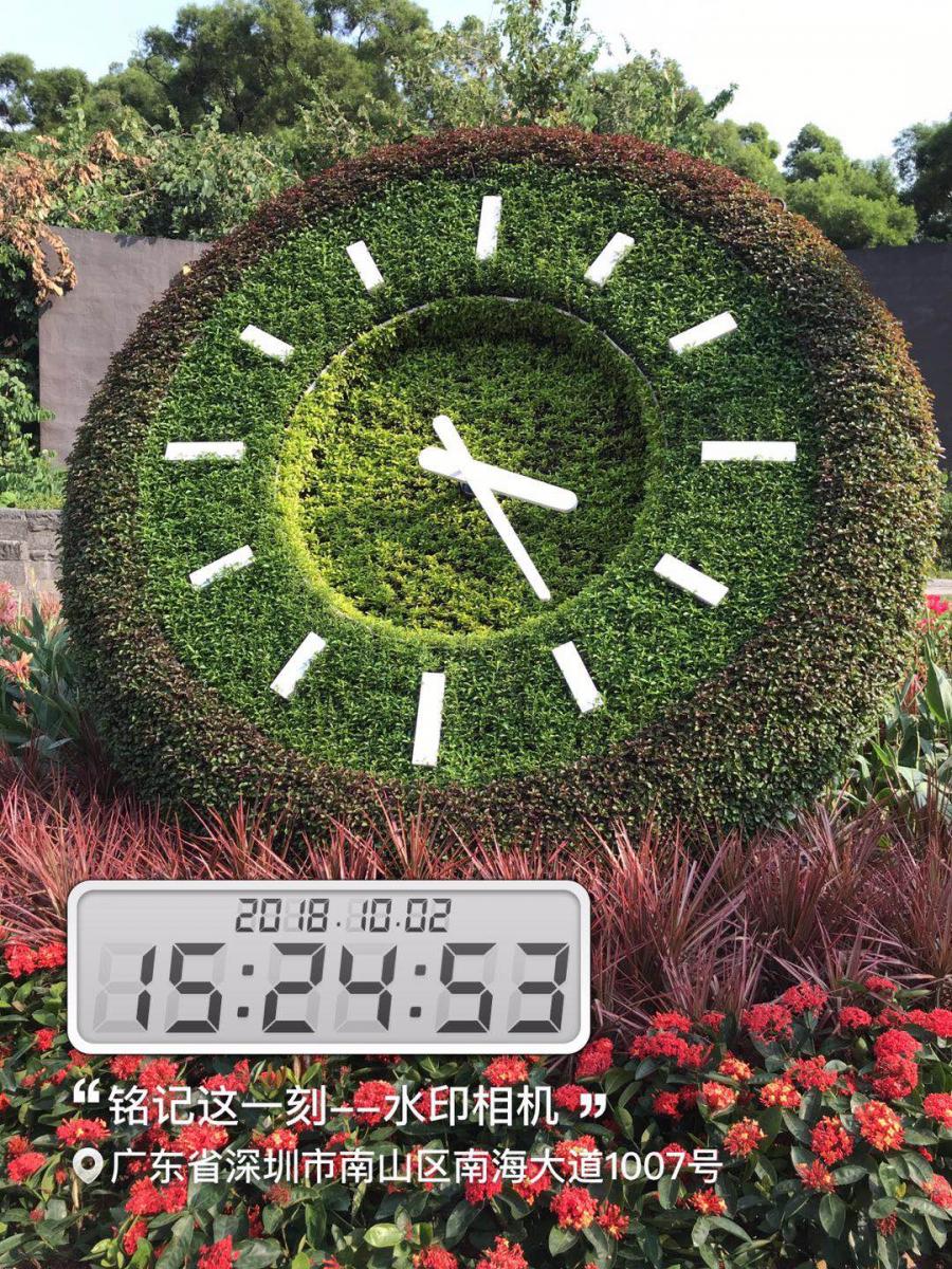 时钟绿雕钟表植物雕塑
