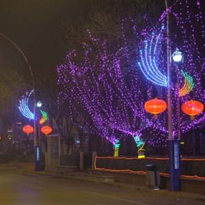 供青海海北城市亮化灯和海南城市亮化工程特点
