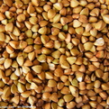 常年现金求购玉米荞麦碎米大豆高粱等饲料原料